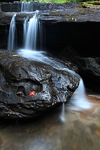 瀑布浸泡白内障湿度热带雨林自然水道森林木头溜槽急流图片