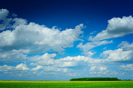 蓝色天空的美丽夏月田图片
