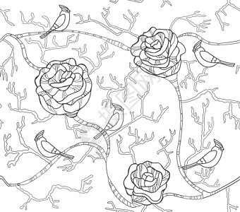 黑白无缝花朵形态 带有玫瑰和鲜花图片
