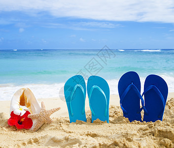山花 贝壳和海星 沙滩上有热带花朵蓝色旅行木槿凉鞋旅游鸡蛋花假期天空海浪地点图片