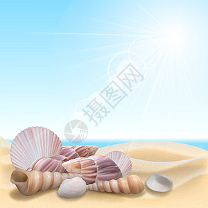 沙滩上的贝壳闲暇阳光休息异国海景和平海岸气候太阳海洋图片