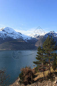 峡湾和山丘植物时间蓝色绿色自治区区系日光目的地旅行图片