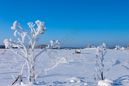 在雪雪中铺下干草的巴勒斯旅游谷物房子场地蓝色天空收成季节小麦地平线图片