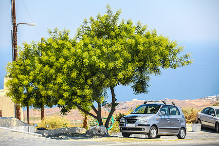 外来模式 桑托里尼Greek村热带树下的汽车图片