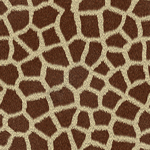 Giraffe 皮肤印刷斑点墙纸条纹野生动物荒野动物纺织品曲线打印材料图片