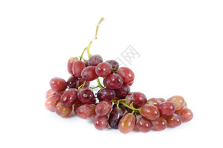成熟水果植物红色庄稼浆果健康饮食白色饮食甜食图片