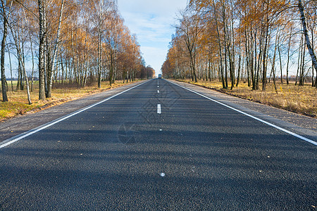 a 道路森林自然国家树木天空风景阳光地平线沥青土地图片