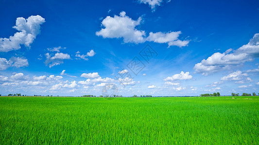 蓝色天空的绿地太阳环境场地小路农村草地阳光天气土地晴天图片