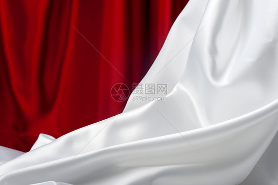 装饰背景结构白色材料布料纺织品奢华花朵玫瑰衣服热情插图图片