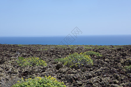 兰萨罗特的某个地方时间旅行阳光日光岩石骨灰沙漠荒野海滩目的地图片