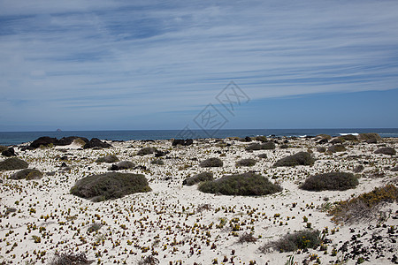 兰萨罗特的某个地方爬坡岩石自然元素荒野时间旅行阳光沙漠海滩骨灰图片