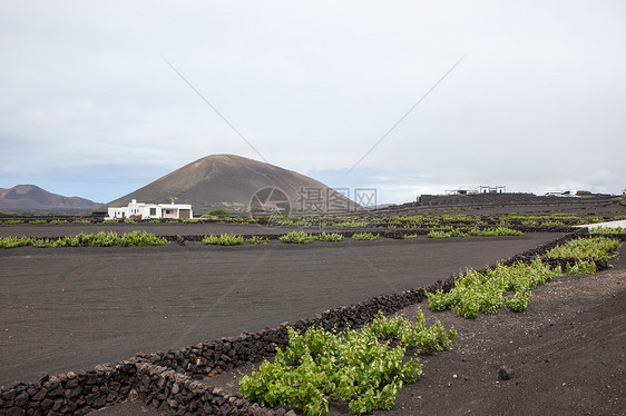 兰萨罗特的某个地方自然元素目的地沙漠旅行日光骨灰岩石爬坡荒野天空图片