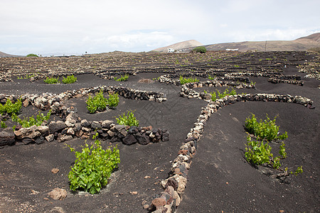 兰萨罗特的某个地方沙漠目的地旅行荒野时间阳光海滩天空自然元素岩石图片