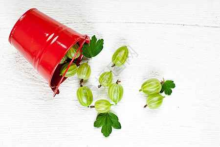 金属桶中的绿鹅莓甜点种子桌子绿色水果养分健康阴影红色茶点图片