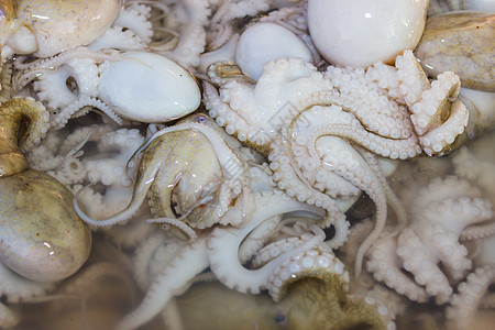 泰国市场上的章鱼和其他海产食品市场宏观海鲜美食食物店铺零售质量海洋渔业摊位图片