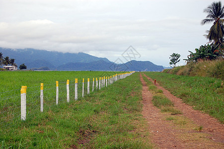 机场围栏沿线的石状公路图片