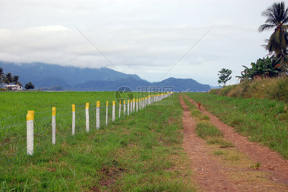 机场围栏沿线的石状公路图片