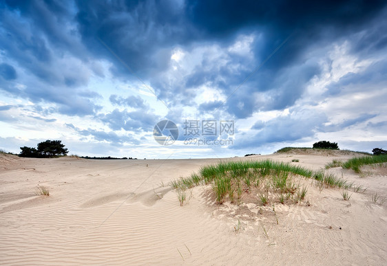 沙丘上空的暴云图片