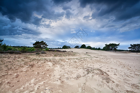 在德伦特的沙丘上 有暴风云图片