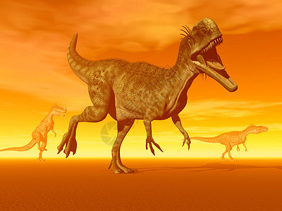 恐龙  3D侏罗纪动物地面天空爪子生物野生动物沙漠插图日落图片