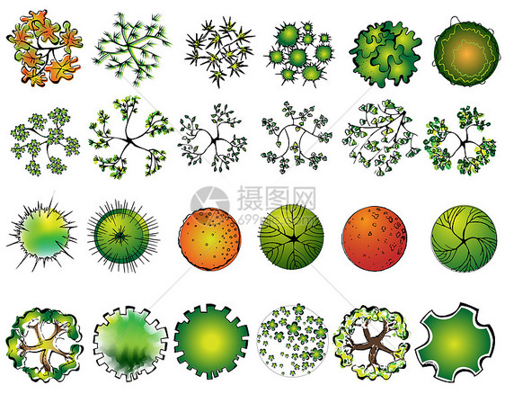 一套彩色树顶符号 用于建筑设计或景观设计图片