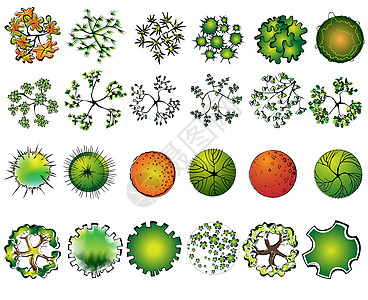 一套树顶符号 用于建筑设计或景观设计图片