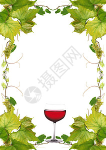 葡萄酒啤酒柚子葡萄叶酒窖厨房栽培酒精侍酒师玻璃萄园图片
