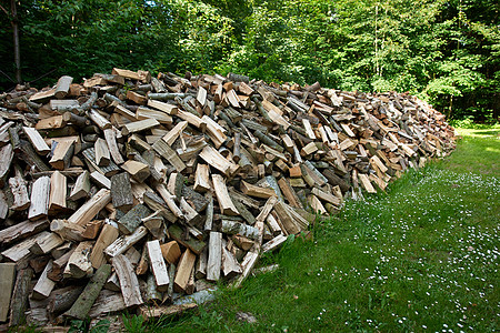 供取暖用的重木原木植物木材加热材料商业树干日志环境资源壁炉图片