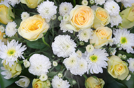 花背景植物群绿色植物叶子雏菊花束白色花瓣玫瑰黄色图片