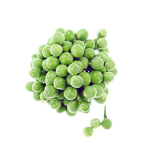 豌豆茄子食物绿色圆形茄子蔬菜白色背景图片