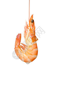 煮虾营养美食食物盘子海鲜橙色白色图片