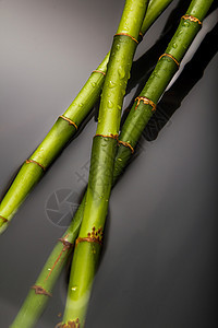 竹布背景背景温泉生活竹子生长植物森林文化树叶拼贴画叶子图片
