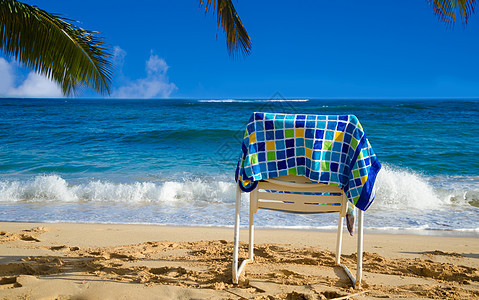 海滩椅棕榈毛巾假期旅游海洋地点树叶比基尼气候阳光图片