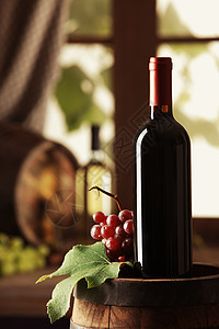 红酒地窖风光瓶子树叶酒精饮食静物田园叶子酒瓶图片