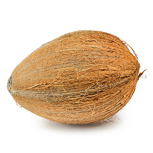 椰子木质固体卵形食用养分口粮硬壳坚果纤维外壳图片