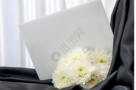 装饰背景结构玫瑰材料丝绸白色寝具热情窗帘纺织品花朵衣服图片