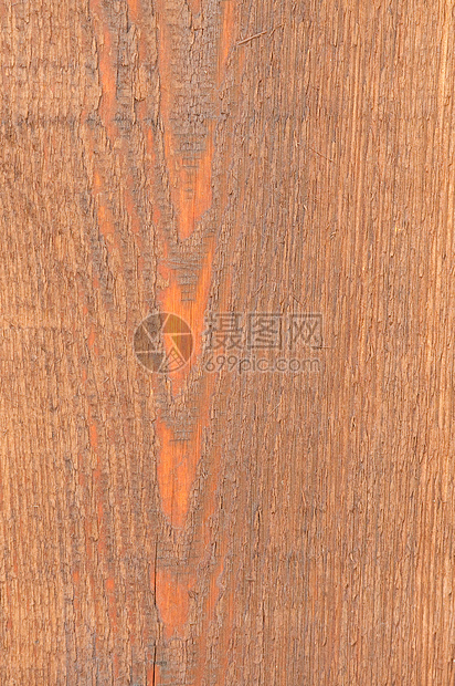 Cedar Wood 纹理剪贴背景背景图片