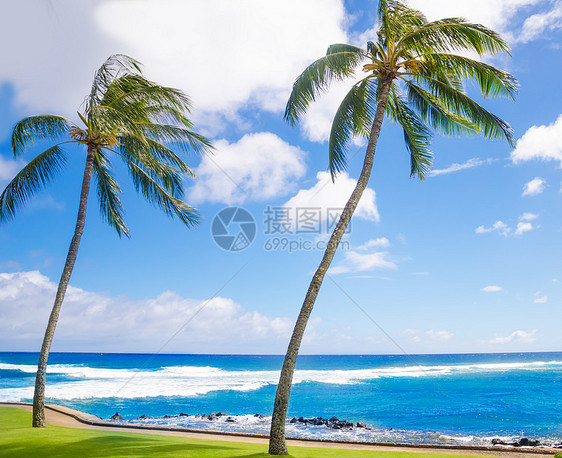 海边棕榈树海景天空海浪热带假期情调异国海洋水域蓝色图片