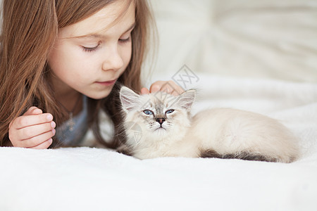 儿童及小猫友谊猫咪孩子快乐童年猫科动物女孩家庭毛皮动物图片