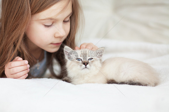 儿童及小猫友谊猫咪孩子快乐童年猫科动物女孩家庭毛皮动物图片