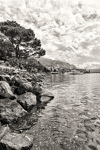 瑞士蒙特勒湖湖附近的鲜花和树木水景顶峰全景高山天空戏剧性郁金香阴影棕褐色石头图片