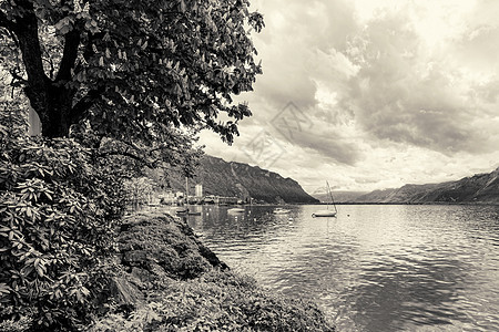 瑞士蒙特勒湖湖附近的鲜花和树木水景明信片顶峰反射戏剧性海报阴影郁金香风暴高山图片