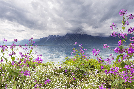 瑞士蒙特勒山山对山的鲜花反射海报戏剧性风暴天空明信片假期高山全景顶峰图片