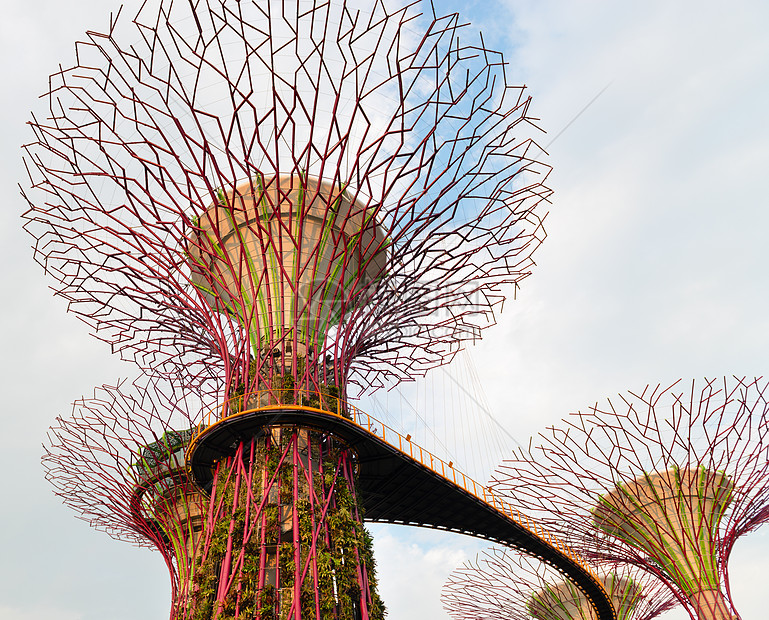 新加坡湾旁花园的超级树上漫步桥植物旅行植物群小路景观地标吸引力旅游城市场景图片
