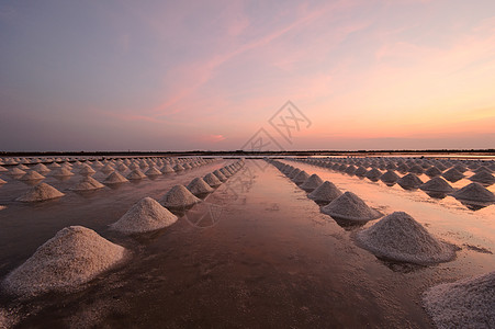 夏天的美丽景色 在泰海兰有一个盐场盐沼农民晴天长方形食物农场培育勘探矿物场地图片