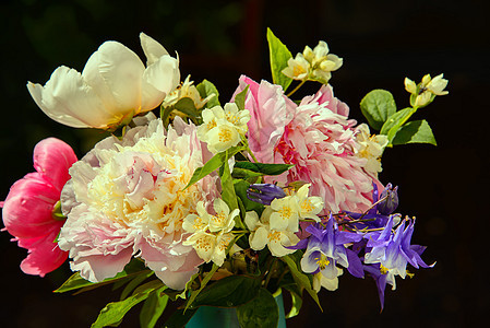 夏花布束背景深色装饰蓝色粉色花园风格采摘茉莉花花朵图片