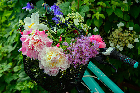 自行车 配有一篮夏花风格采摘花朵紫色晴天花束茉莉花收获花园粉色图片