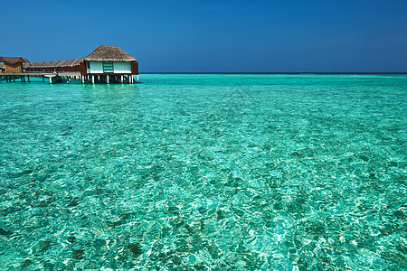 美丽的海滩 有水边的平房码头异国海景海洋情调风景热带别墅旅行假期图片