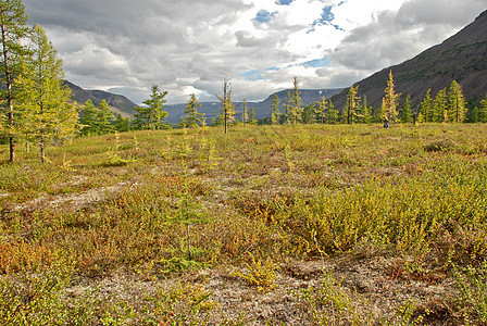 苔原里有拉链土地山脉爬坡高原旅游假期冒险森林公园草地图片