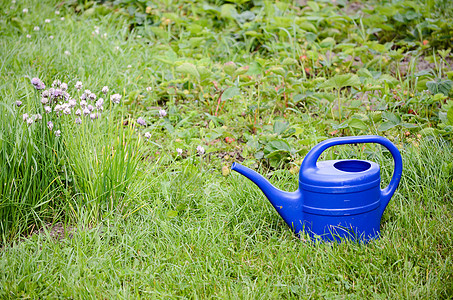 水罐园艺塑料工具绿色蓝色花园图片